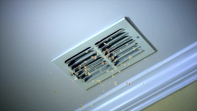 Affordable HVAC Duct Cleaning in Alderson, WV