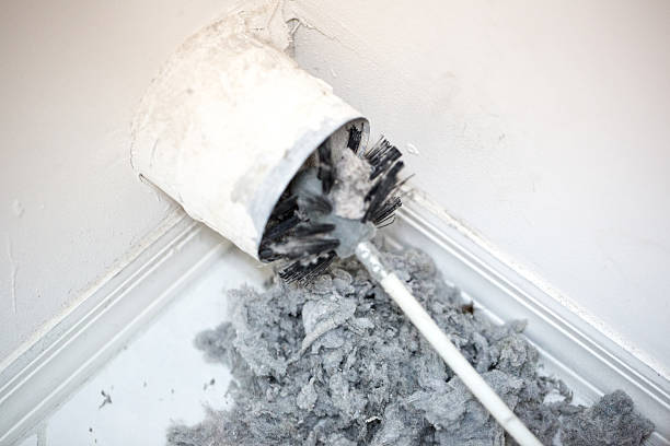 Best Professional Duct Cleaning Services  in Alderson, WV