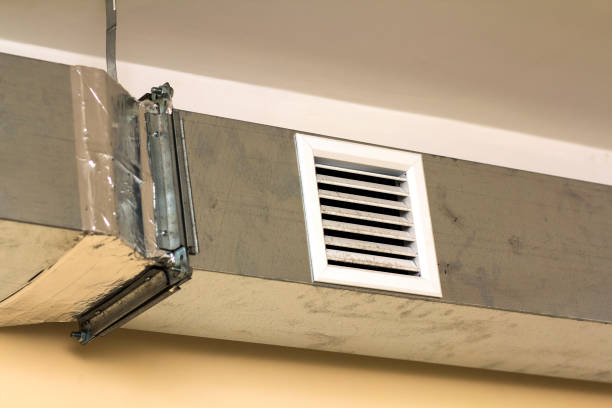 Best Affordable Duct Cleaning Services  in Alderson, WV